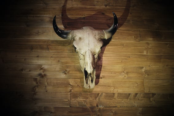 Le Saloon