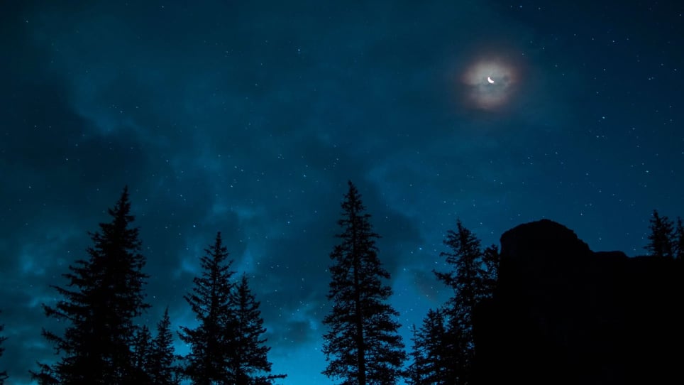 Moonlight Mayhem