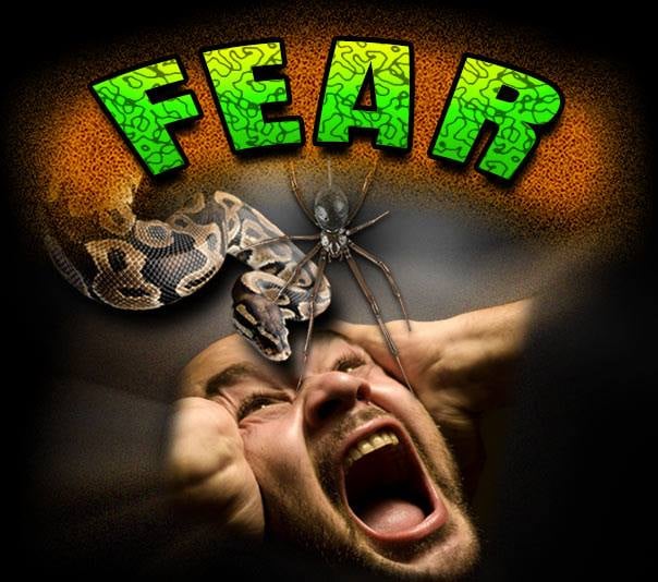 Fear