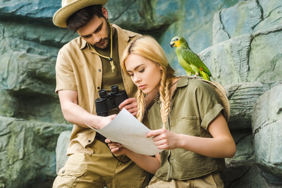 Jungle Safari