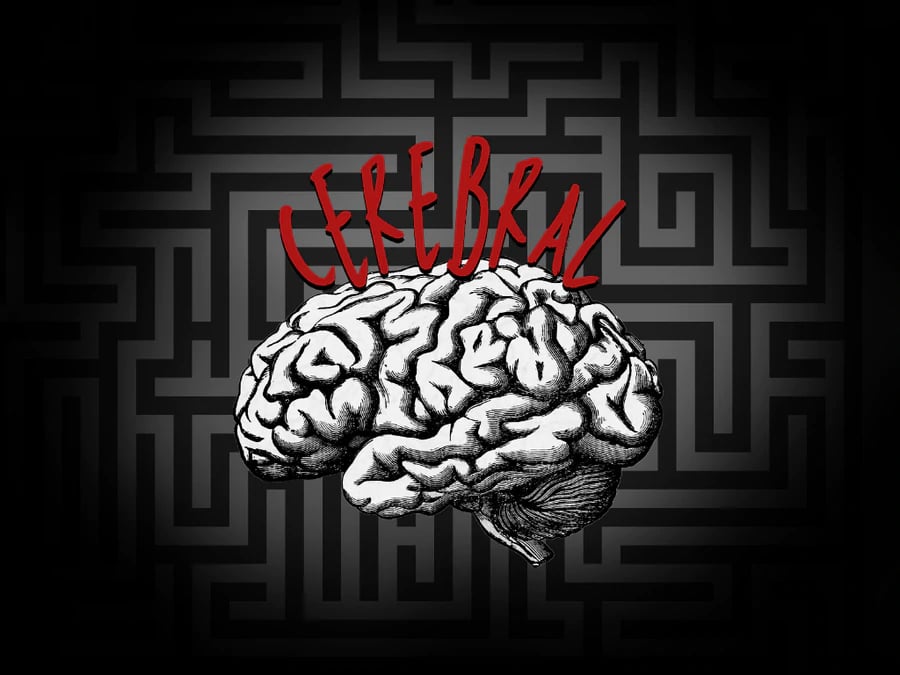 Cerebral