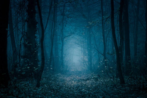The Nightshadow’s Shroud