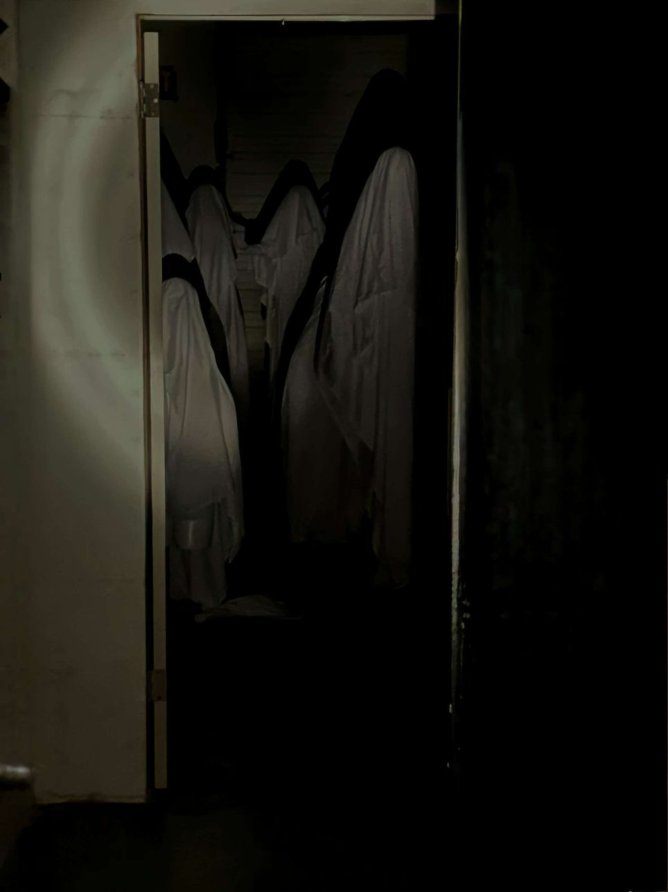 Ghost Hunter