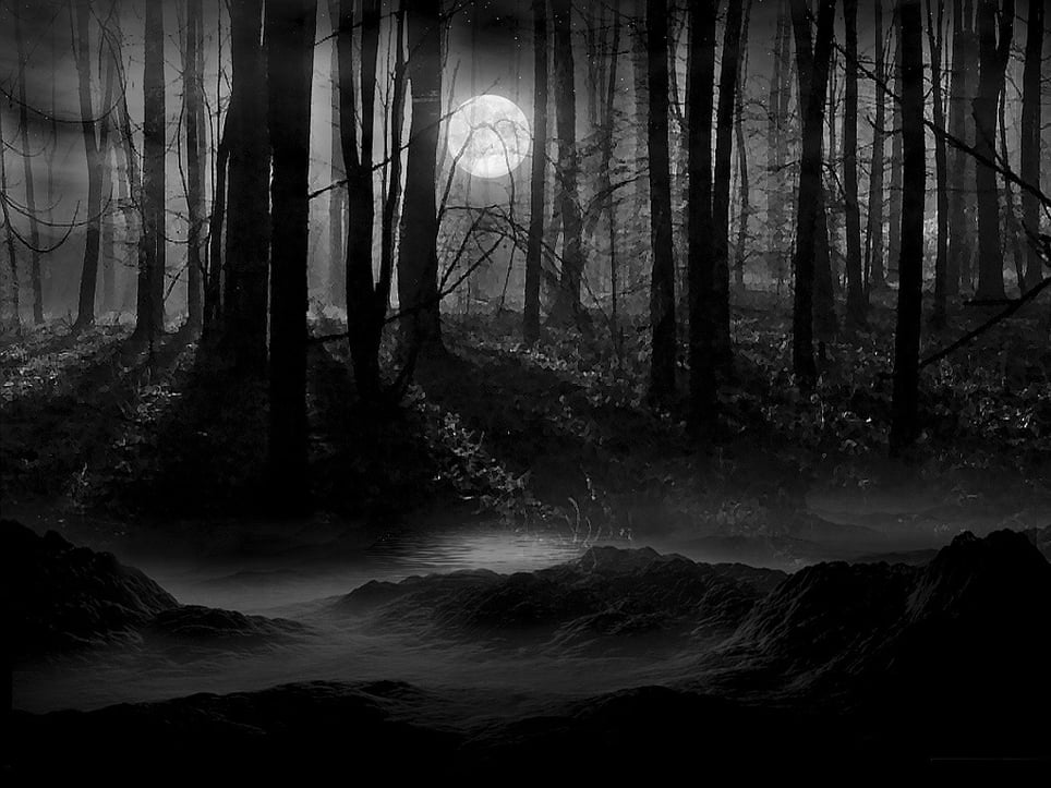 Yaphank Trail of Terror