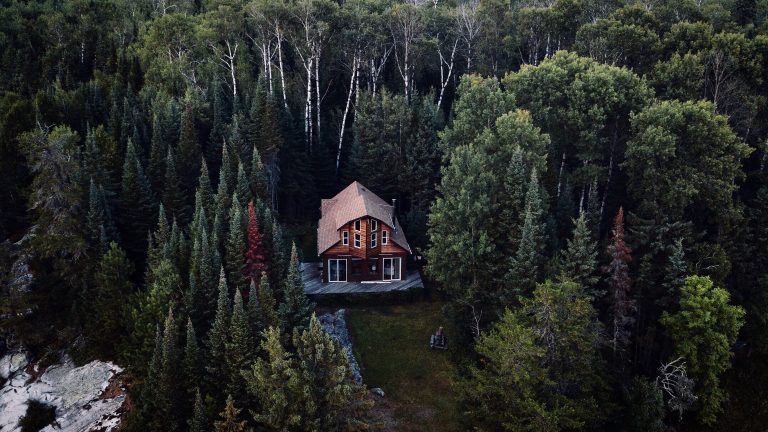 The Cabin