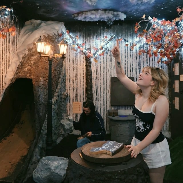 The Enchanted Forest