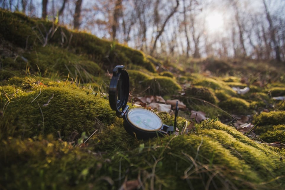 Escape Forest - Scout [Outdoor]