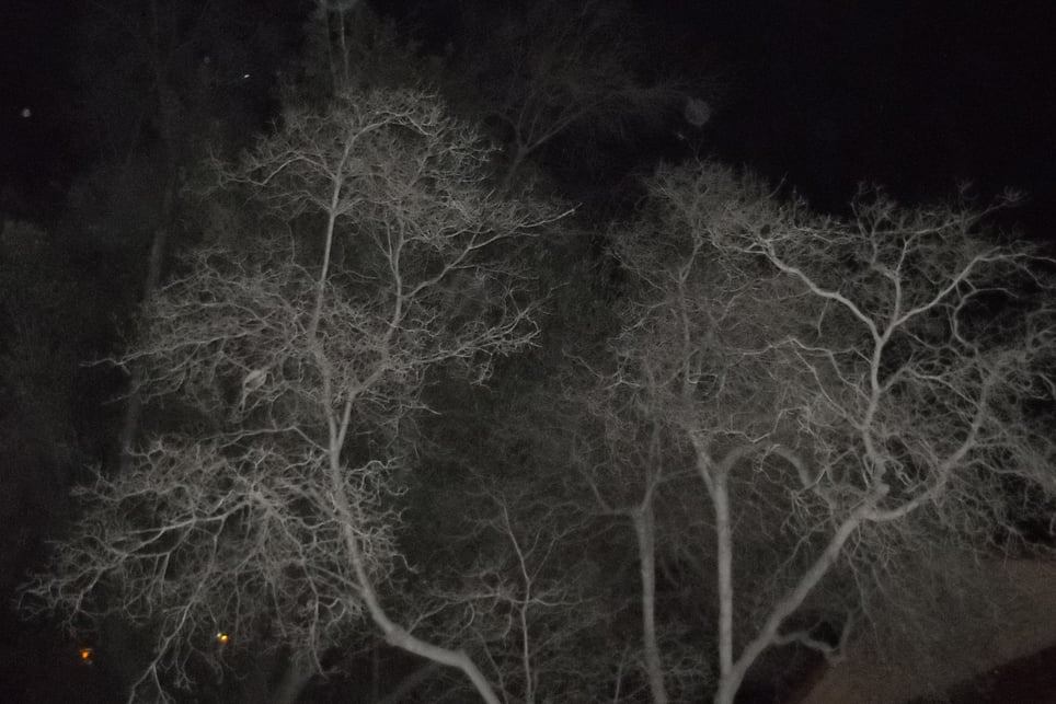 Paranormal Investigation. Ghost Stories. History. Old Town.