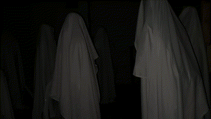 Ghost Hunter