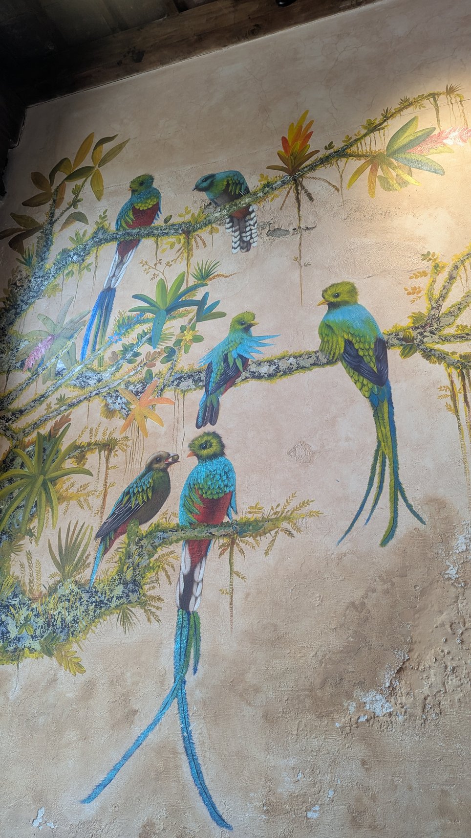 The Mysteries of Antigua [Outdoor]