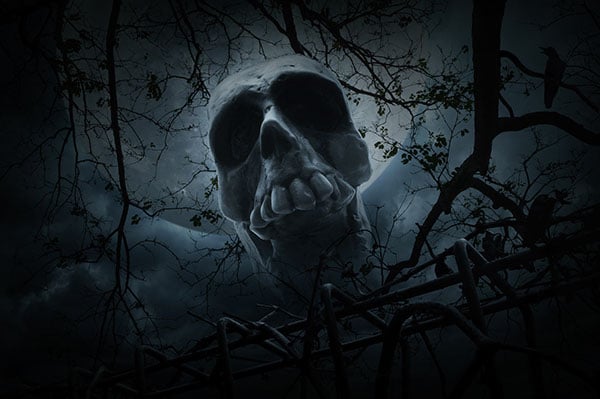 Wicked Woods