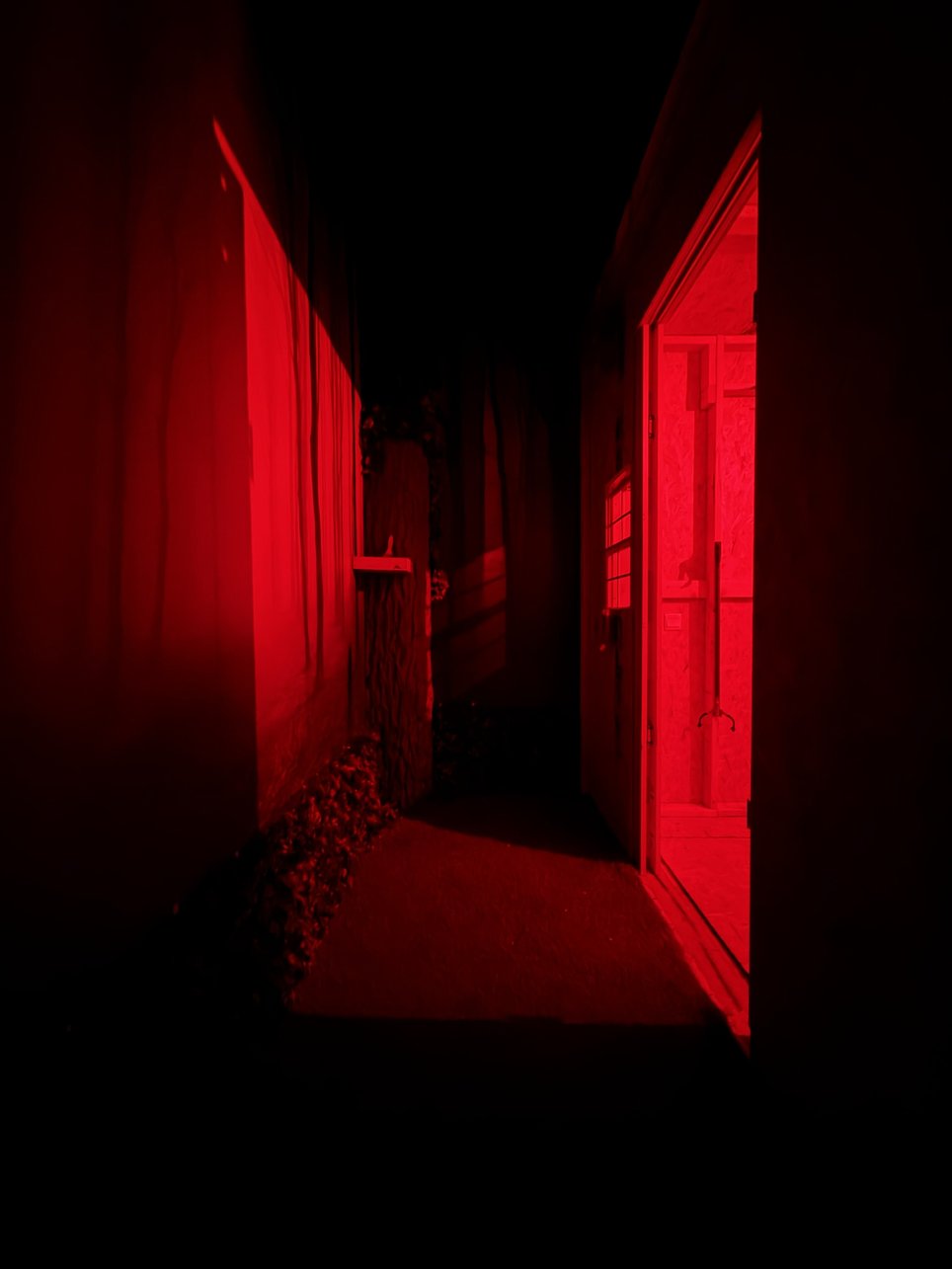 The Shed