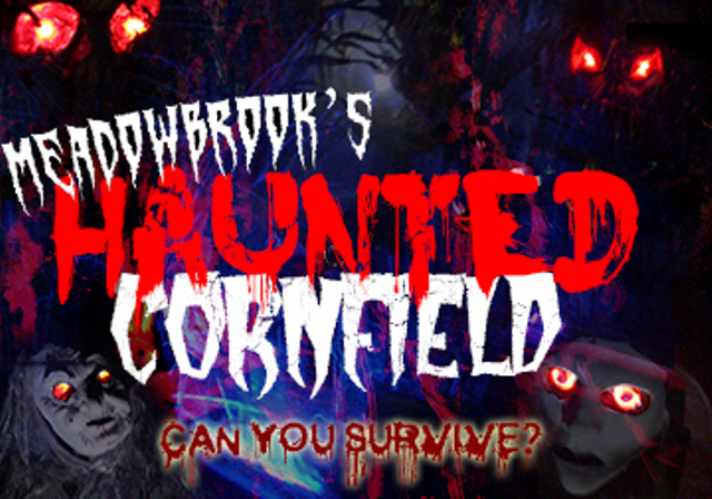 Haunted Forest and Cornfield Adventure