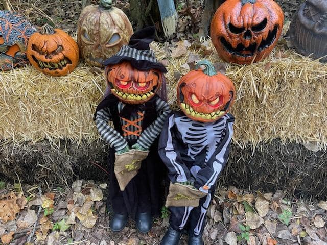 Trail of Terror at the Lake