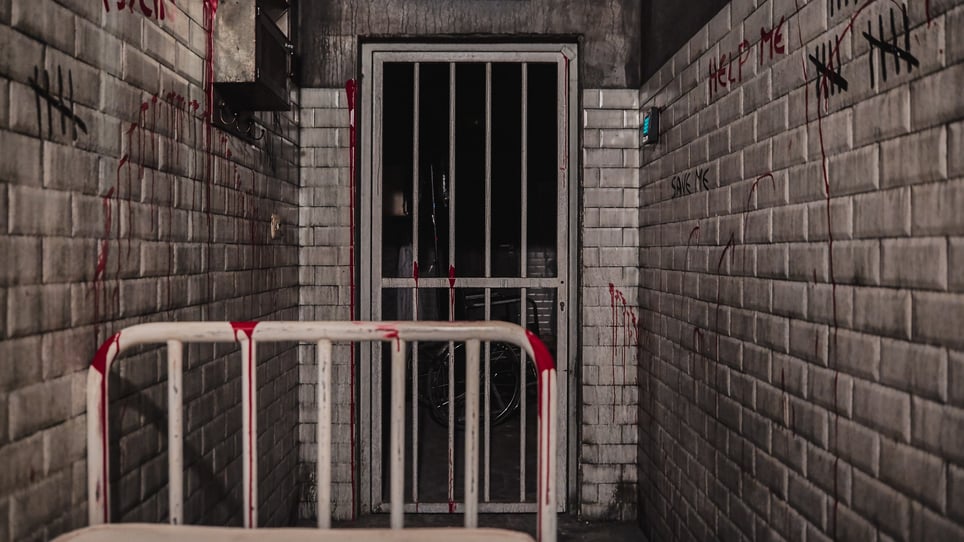 Il Manicomio Abbandonato [The Abonded Asylum]