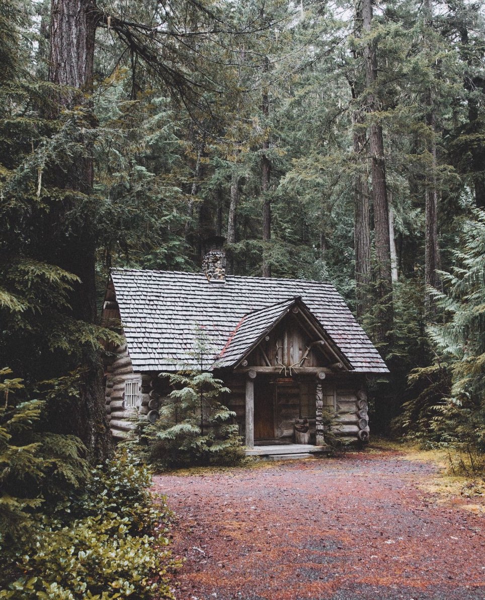 Cabin in the Woods