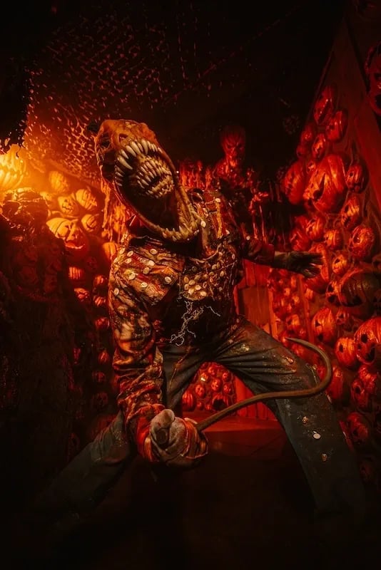 Disturbia Haunted House