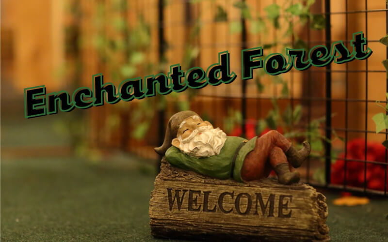 Enchanted Forest