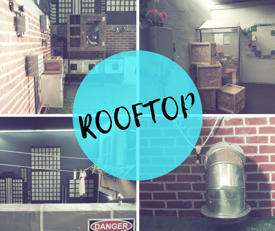The Rooftop