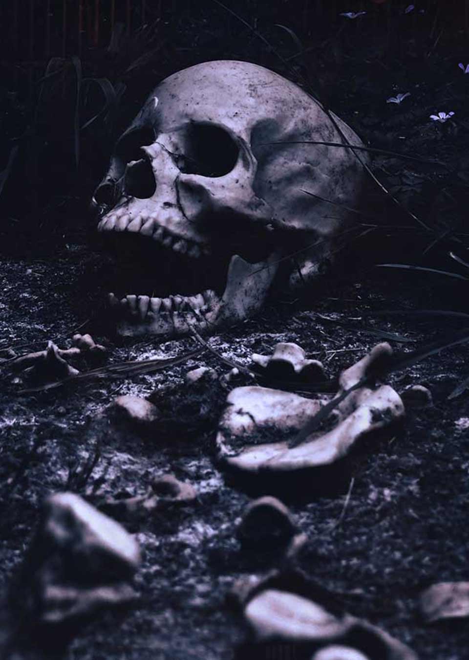 El Cementerio [The Cemetery]
