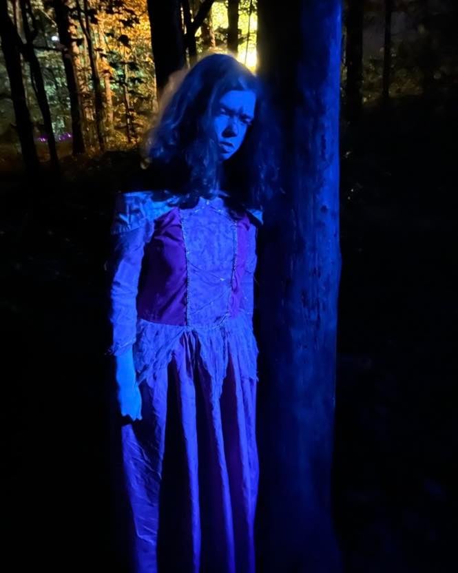 Wicked Whimsies Haunted House