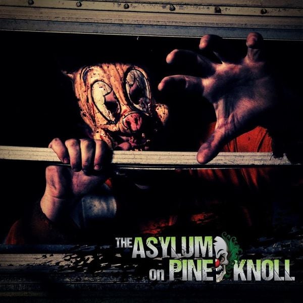 Asylum on Pine Knoll Dr.