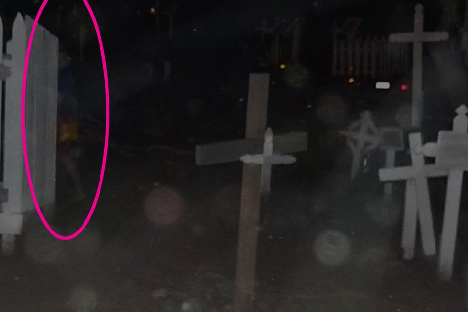 Ghost Bus Tour. Haunted History. Old Town, Sherman Heights, Gaslamp.