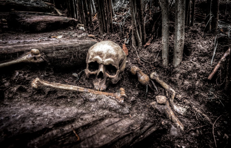 Trail Of Terror