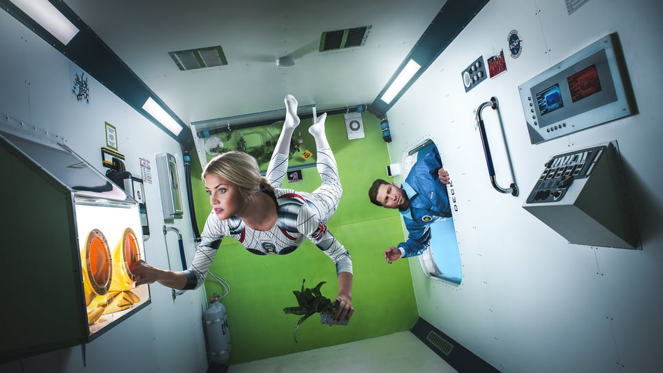 Gravity