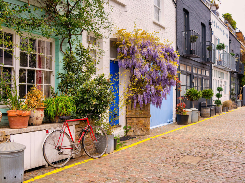Mysterious Mews [Outdoor]