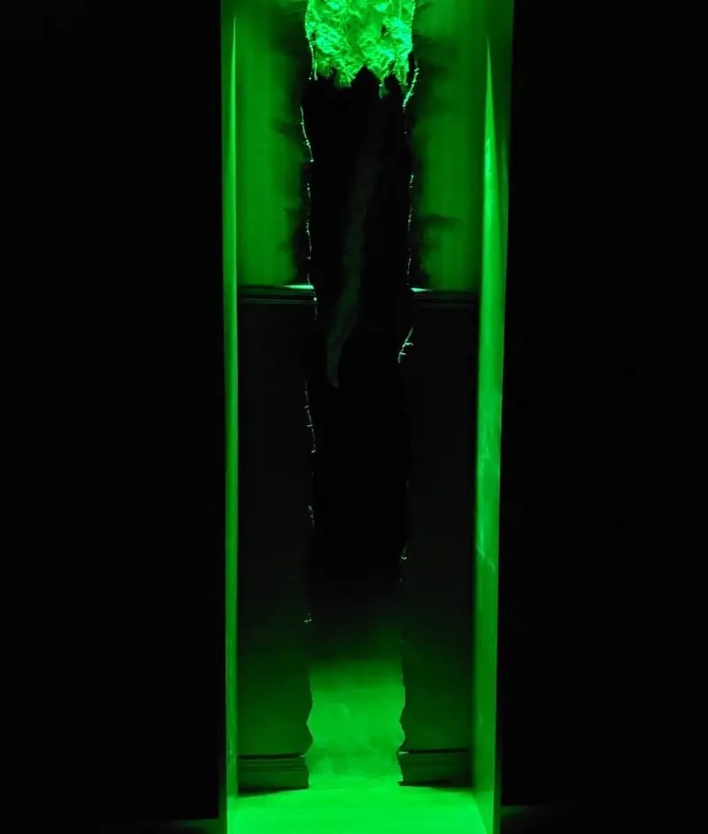 Le Reflet de la Folie [The Reflection of Madness]