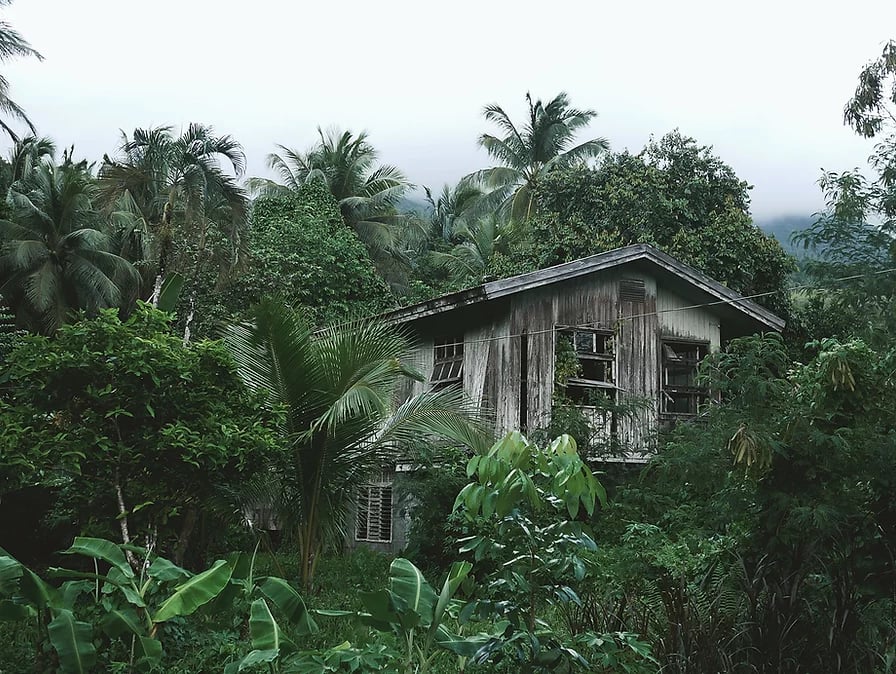 Jungle Escape