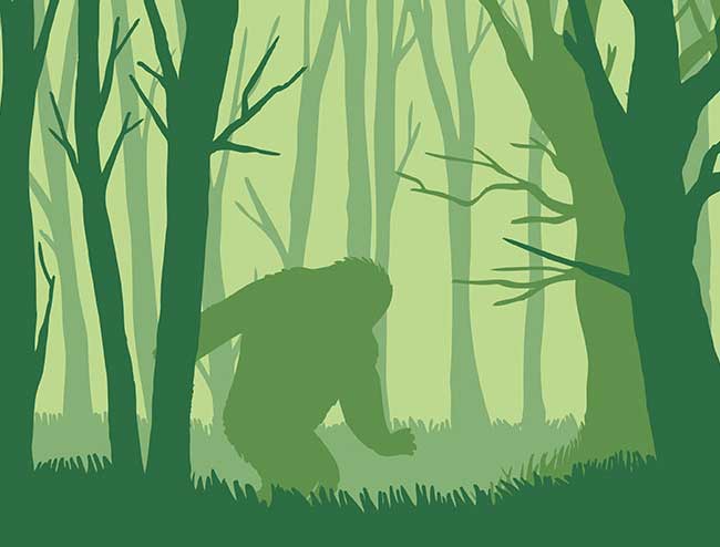 El Guardián Del Bosque
