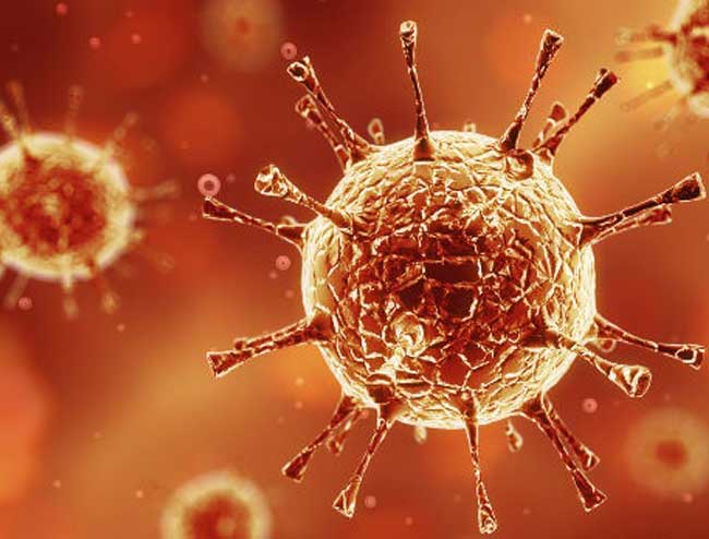 El Virus [The Virus]