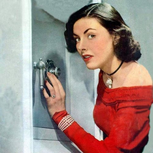 The Traveller