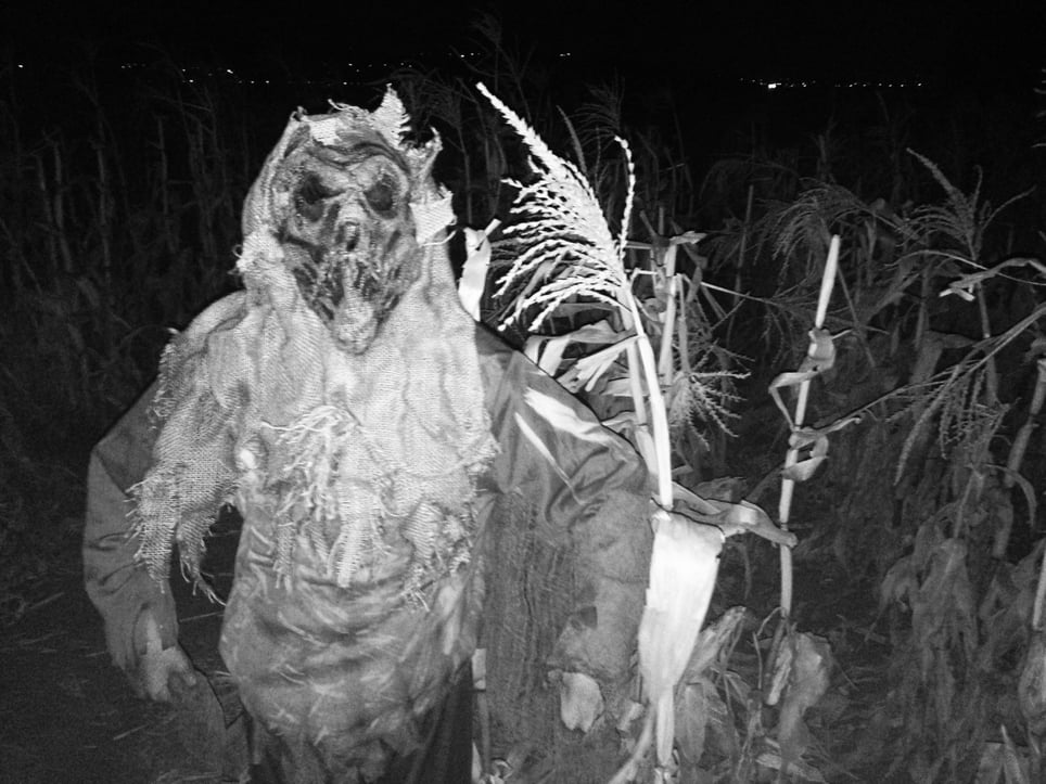 Corn Creepers Haunted Attraction