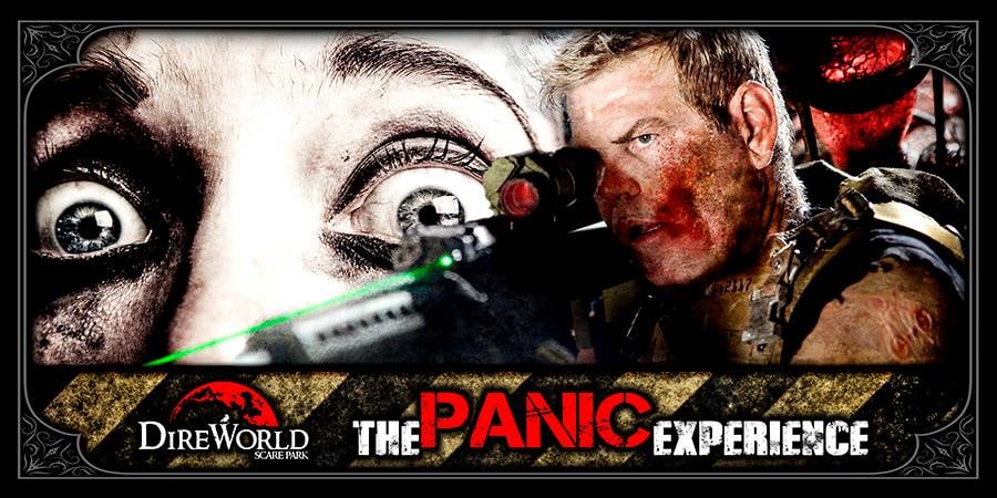 The Panic Experience