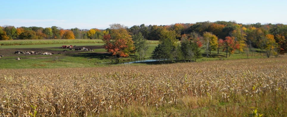 Haunted Hayride