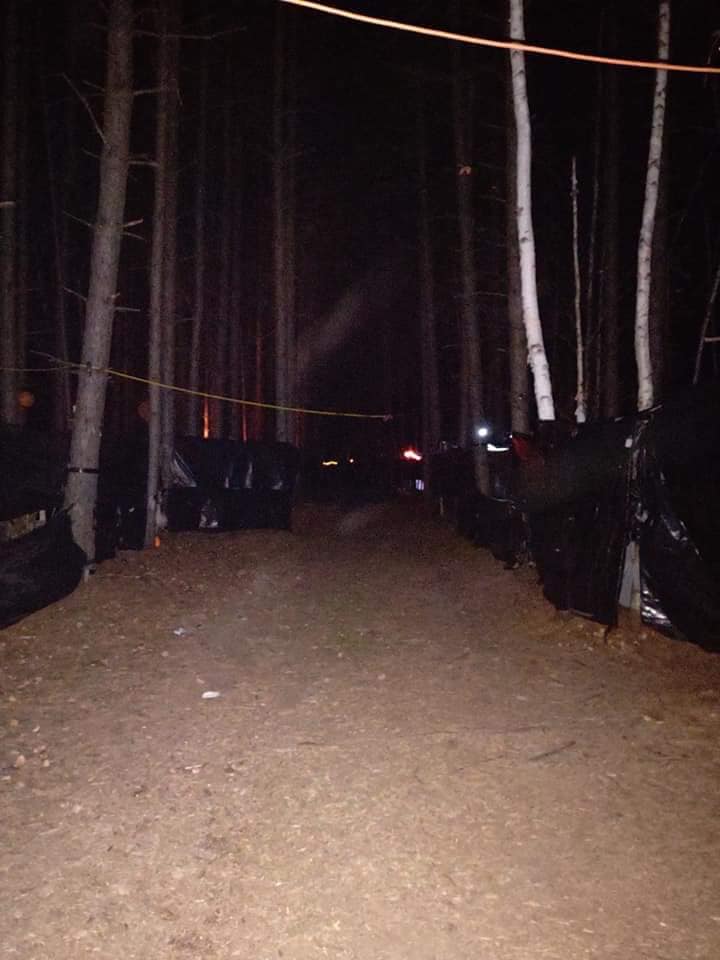 Haunted Forest