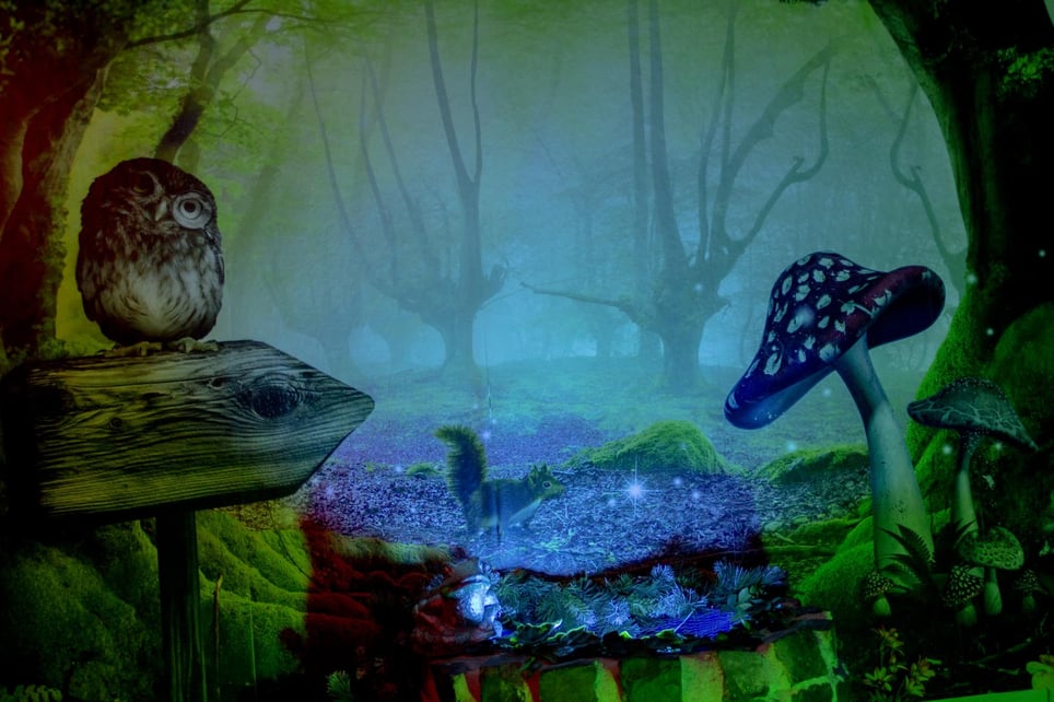 Tristans (T)raum [Tristan's Dream Room]