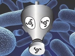 Germ