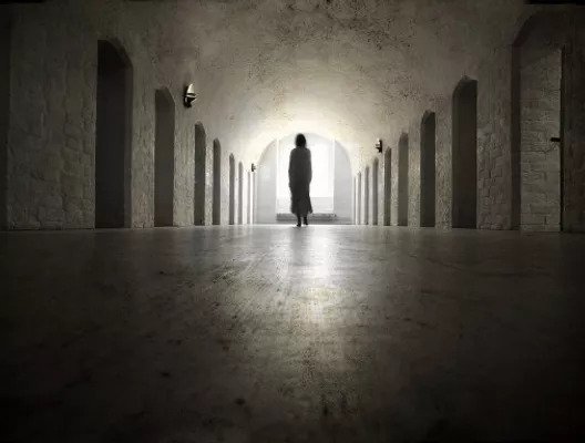 The Asylum