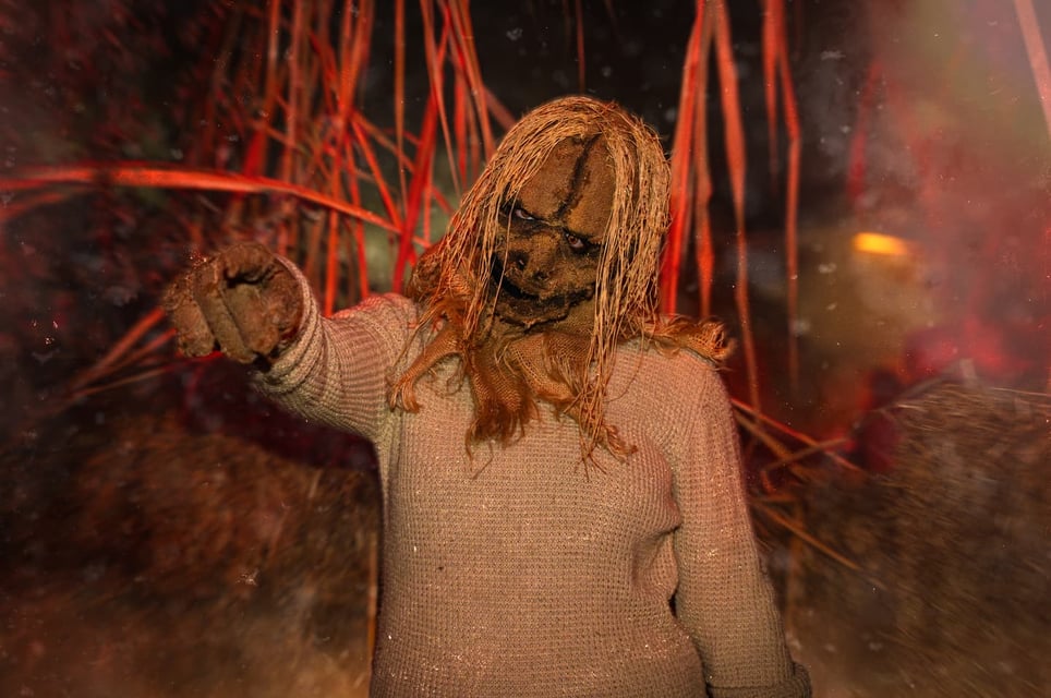 Scare Zones