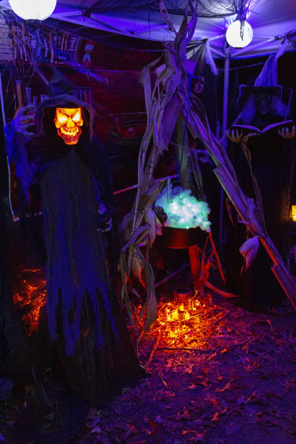 Trail of Terror