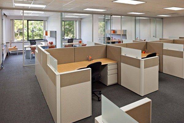 The Department