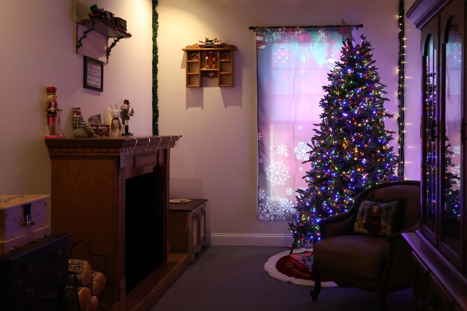 The Christmas Countdown: Checked Twice