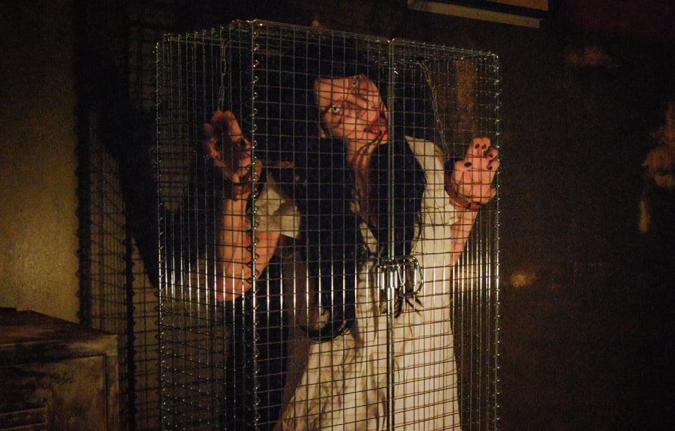 Asylum
