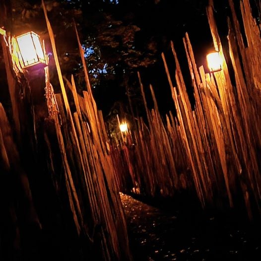 Wicked Woods