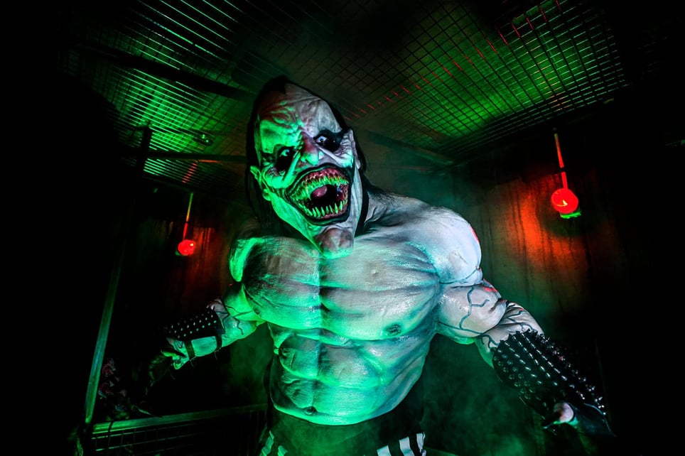 Dr. Heinz Asylum