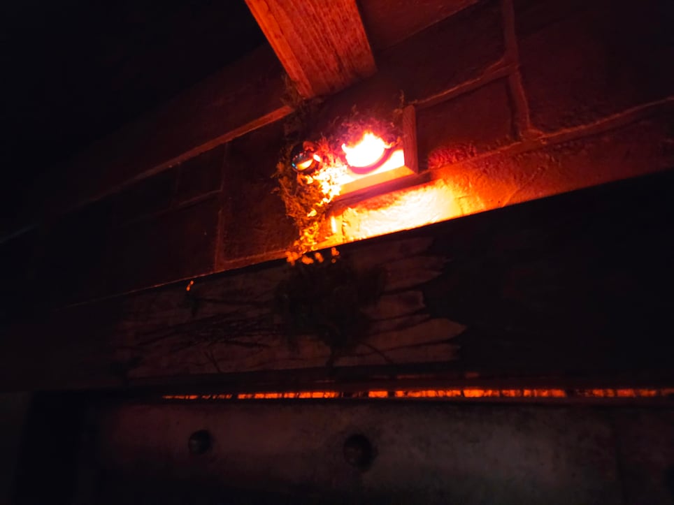 The Cellar